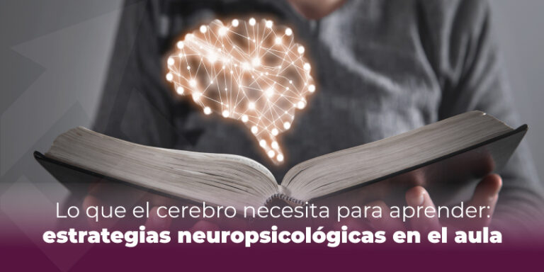 Lo que el cerebro necesita para aprender: estrategias neuropsicológicas en el aula